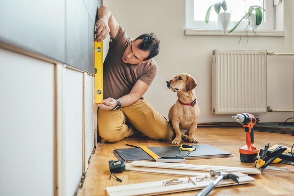A man renovating his kitchen with his dog
