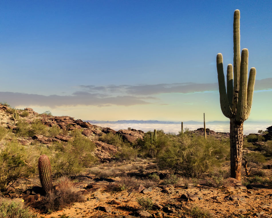 Phoenix Arizona Desert in the morning