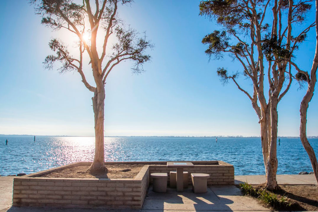 Picnic area with a waterfront view in Chula Vista Bayside Park