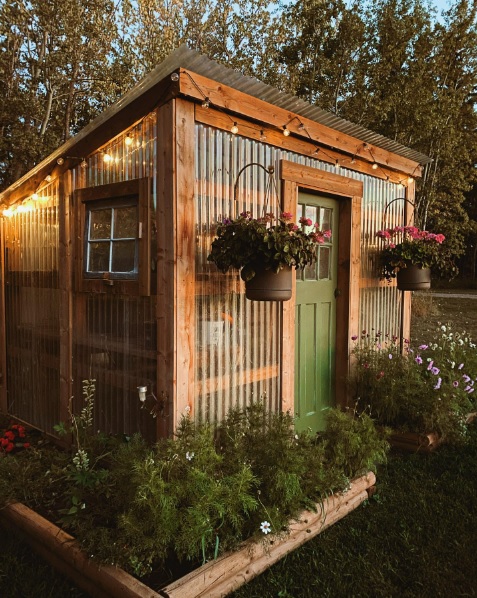 A shed-sized DIY greenhouse with string lights, hanging plants, and flowerbeds around the perimeter.